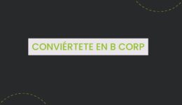 b corp