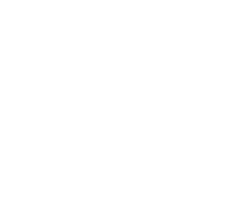 RESPONSABILIDAD SOCIAL.Contribuir previamente a la sociedad y al medio ambiente mediante prácticas empresariales responsables.