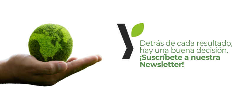 NEWSLETTER CONSULTORÍA